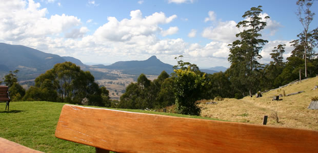 Mt Wilson from Carr's Lookout