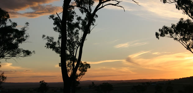 Late afternoon - Jack Smith gully looking back to 